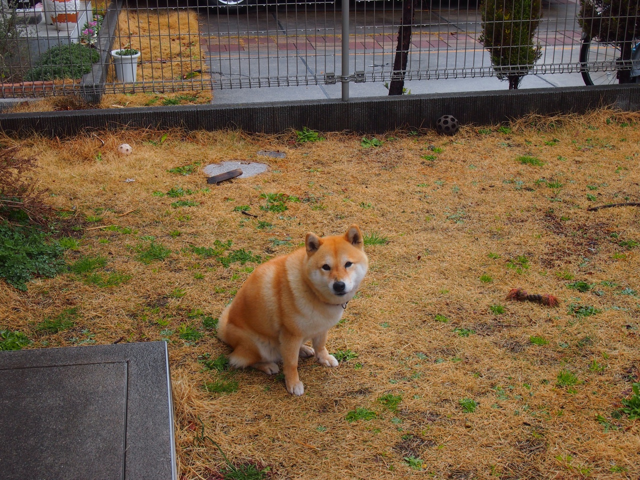 九游娱乐(jiuyou)官网-APEX英雄 战队备战国际赛事,apex英雄 比赛