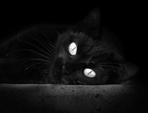 九游网页版官网-“意甲硬仗持续,豪门争夺欧战门票”,意甲球队欧战成绩