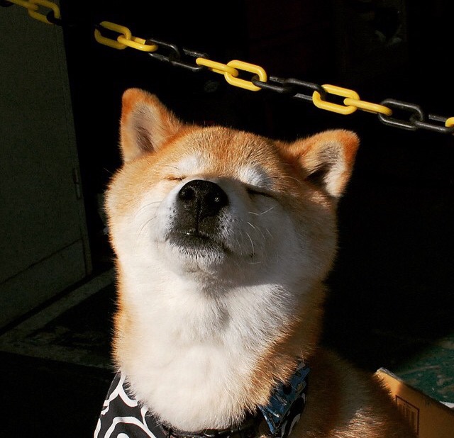 详细阅读:九游下载安装-“球员趣味:场外最奇葩的趣味爱好”,足球奇葩人物 九游下载安装-“球员趣味:场外最奇葩的趣味爱好”,足球奇葩人物