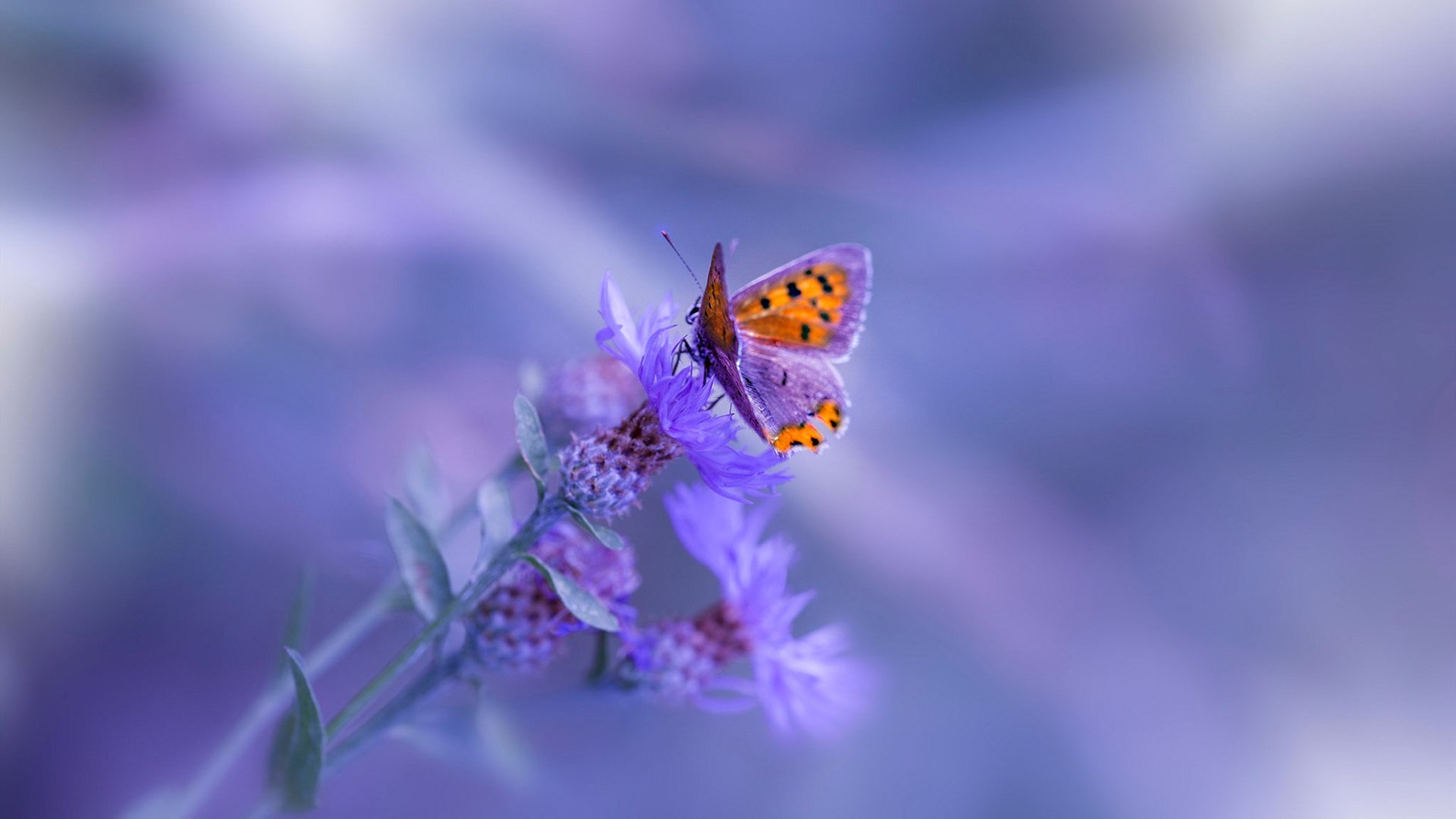 JIU YOU GAME-《英雄联盟：年度总决赛精彩瞬间回顾》，英雄联盟总决赛视频2020