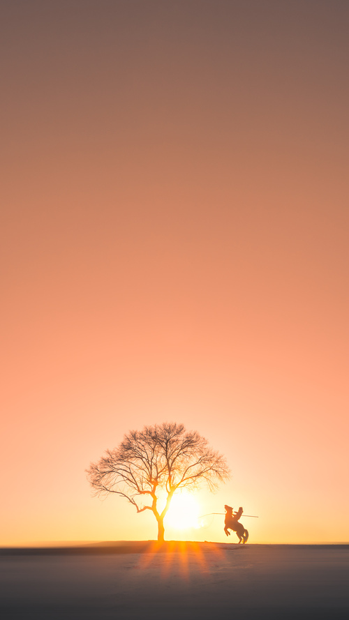 Jiu You-亮点球员：李明抢下本场最高的28分，彰显全能本色！，李明什么水平