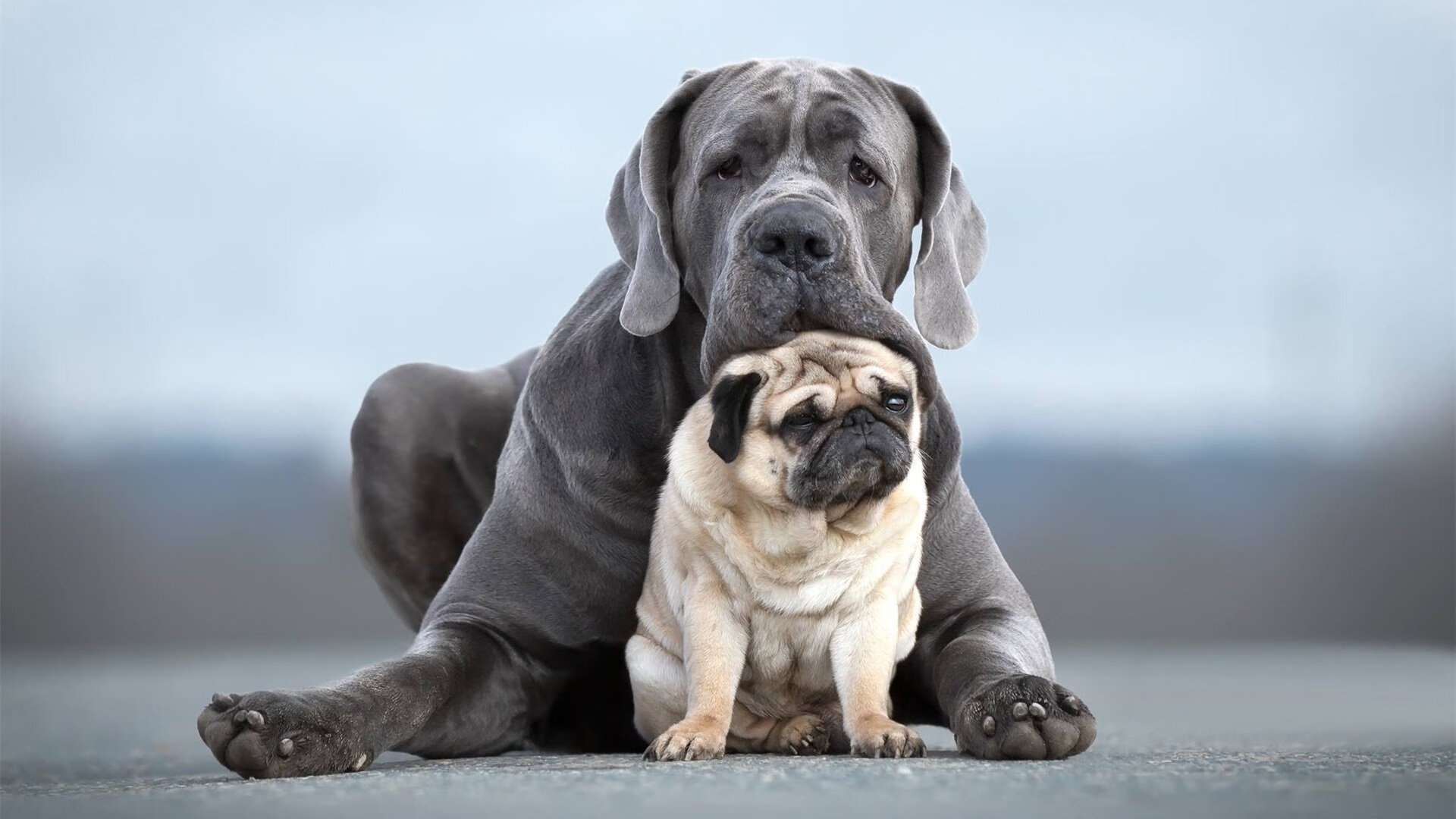 九游官网pc-全国青少年田径锦标赛，运动员展现超强实力，2020全国青少年田径