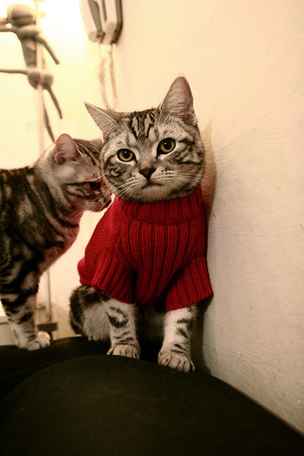 九游娱乐官网 (jiuyou)-在2015年季后赛火热的“水花”模式中，库里场均命中率高达45%以上，成为联盟最强远射手