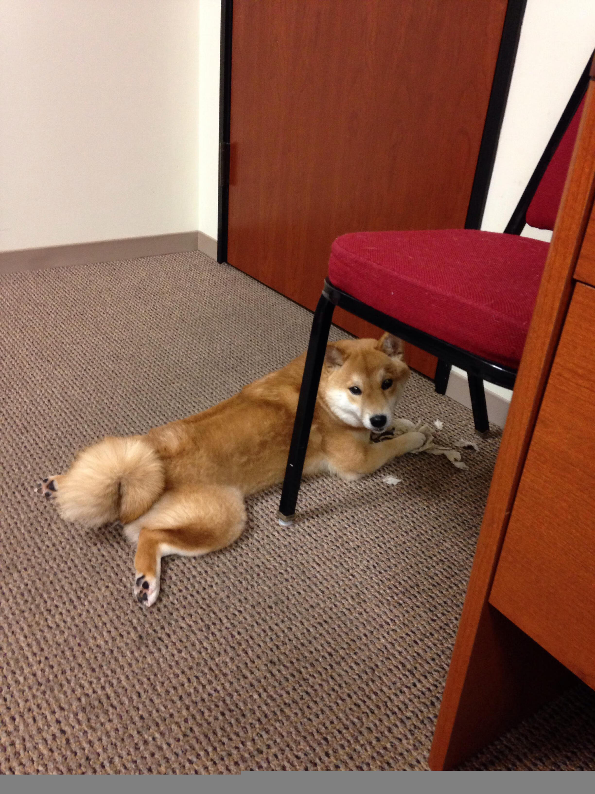 九游app下载中心-大手笔投资：新技术助力车队突围