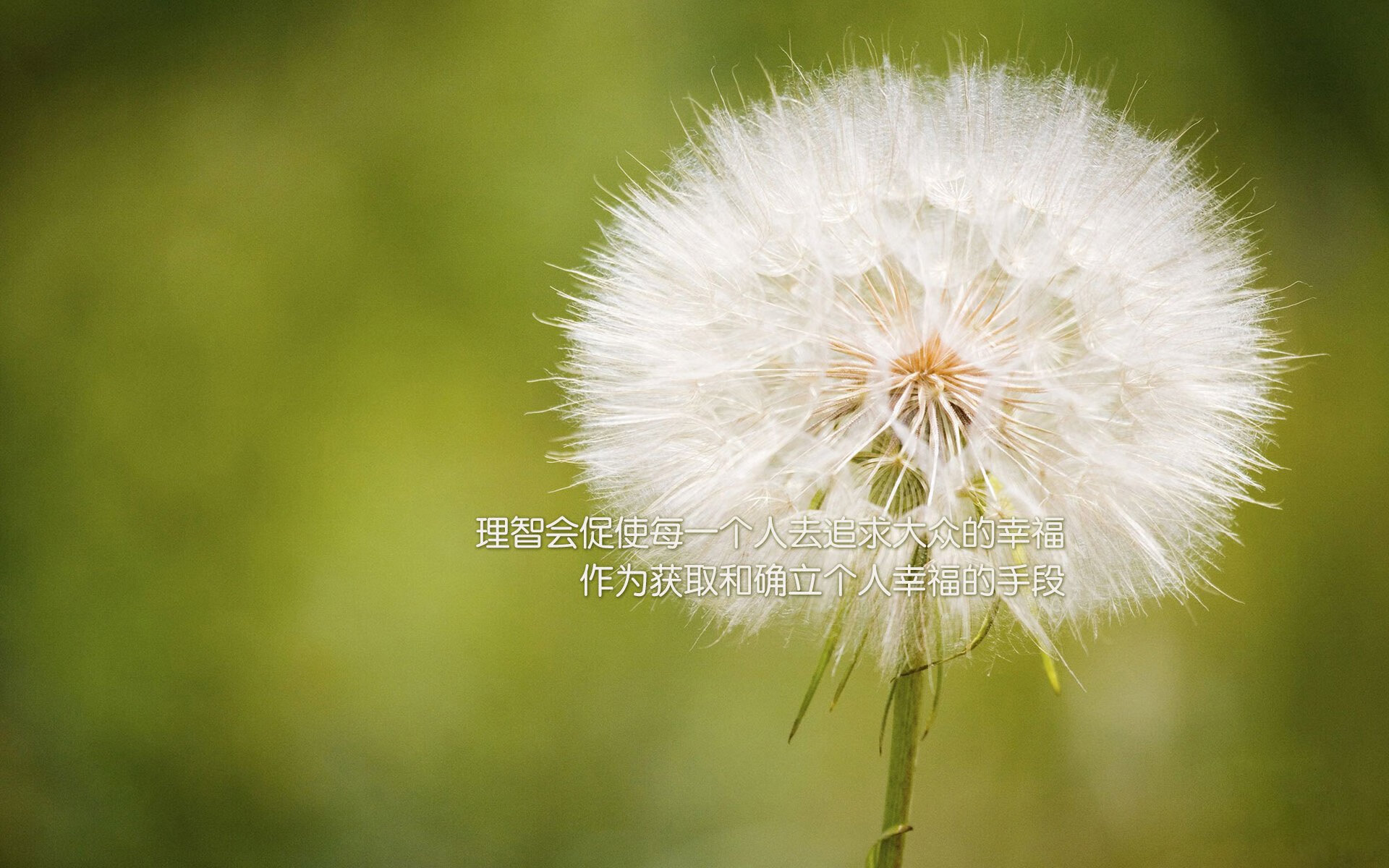 九游app官网下载-上海上港主场失利，积分榜前八位置略有下滑，上港新主场座位增加到5万