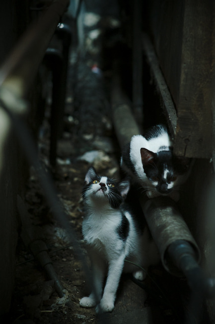 JiuyouAPP下载-欧洲强队在大赛中展现出色状态，预备充足，欧洲队伍