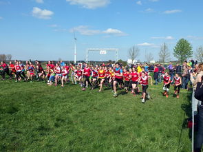 九游网页版官网-世界青少年滑板锦标赛吸引众多新锐少年,2021青少年滑板锦标赛