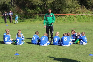 JiuyouAPP下载-中国篮球教练员在比赛中决策行为研究，篮球教练员行为准则