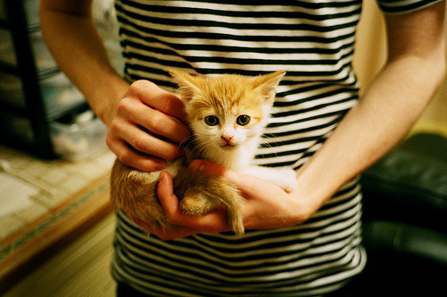 九游网页版官网入口-体育新闻中心发布体育短视频用户行为分析报告，如何创新体育短视频