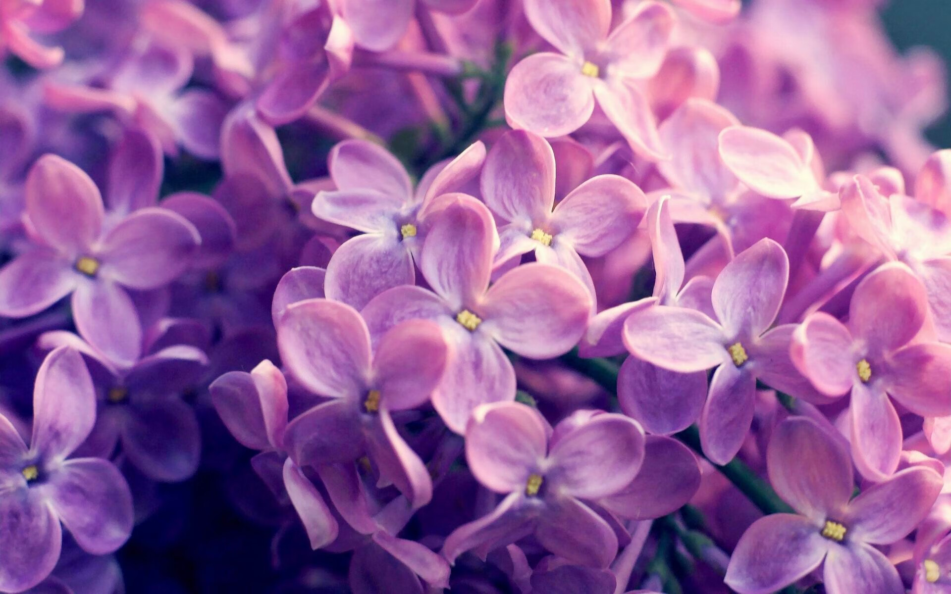 九游9游-俱乐部缺乏应对突发成绩波动的公共关系能力，俱乐部案例分析