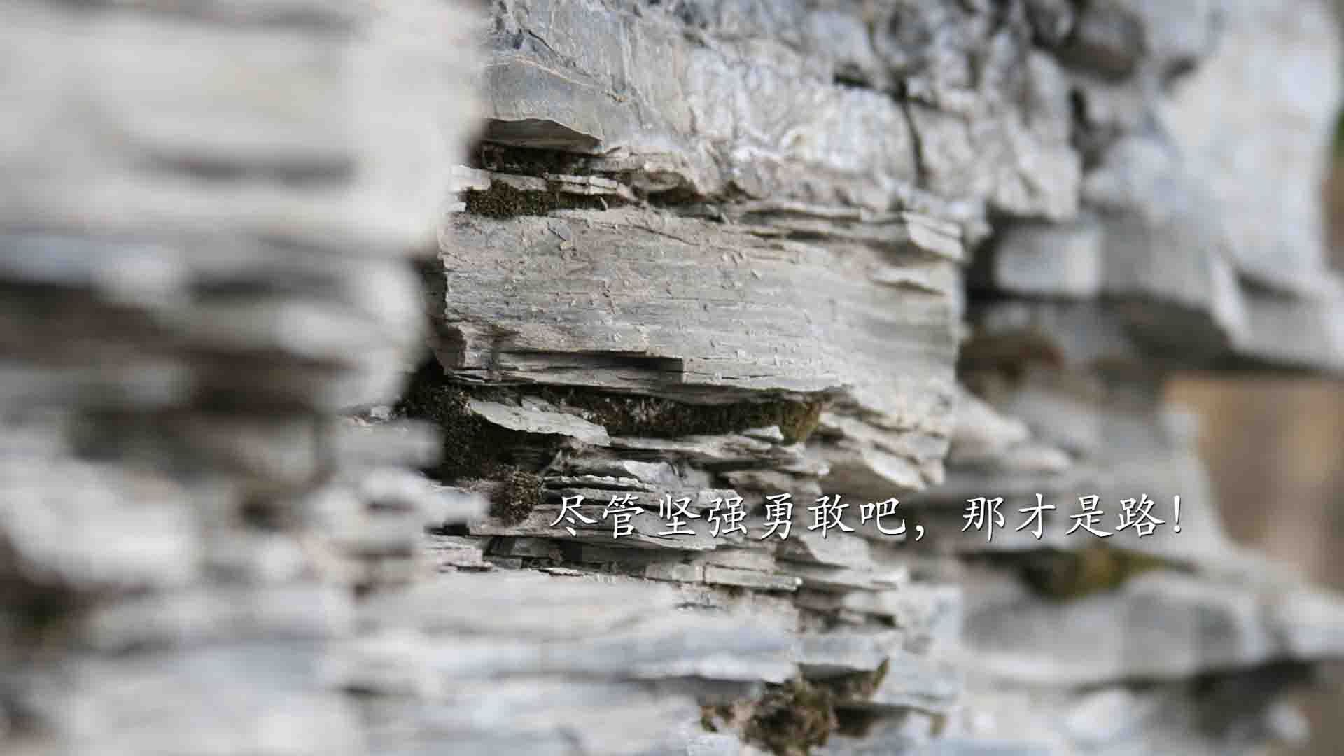 九游app官网下载-加拿大男队未来潜力巨大，加拿大男篮阵容名单