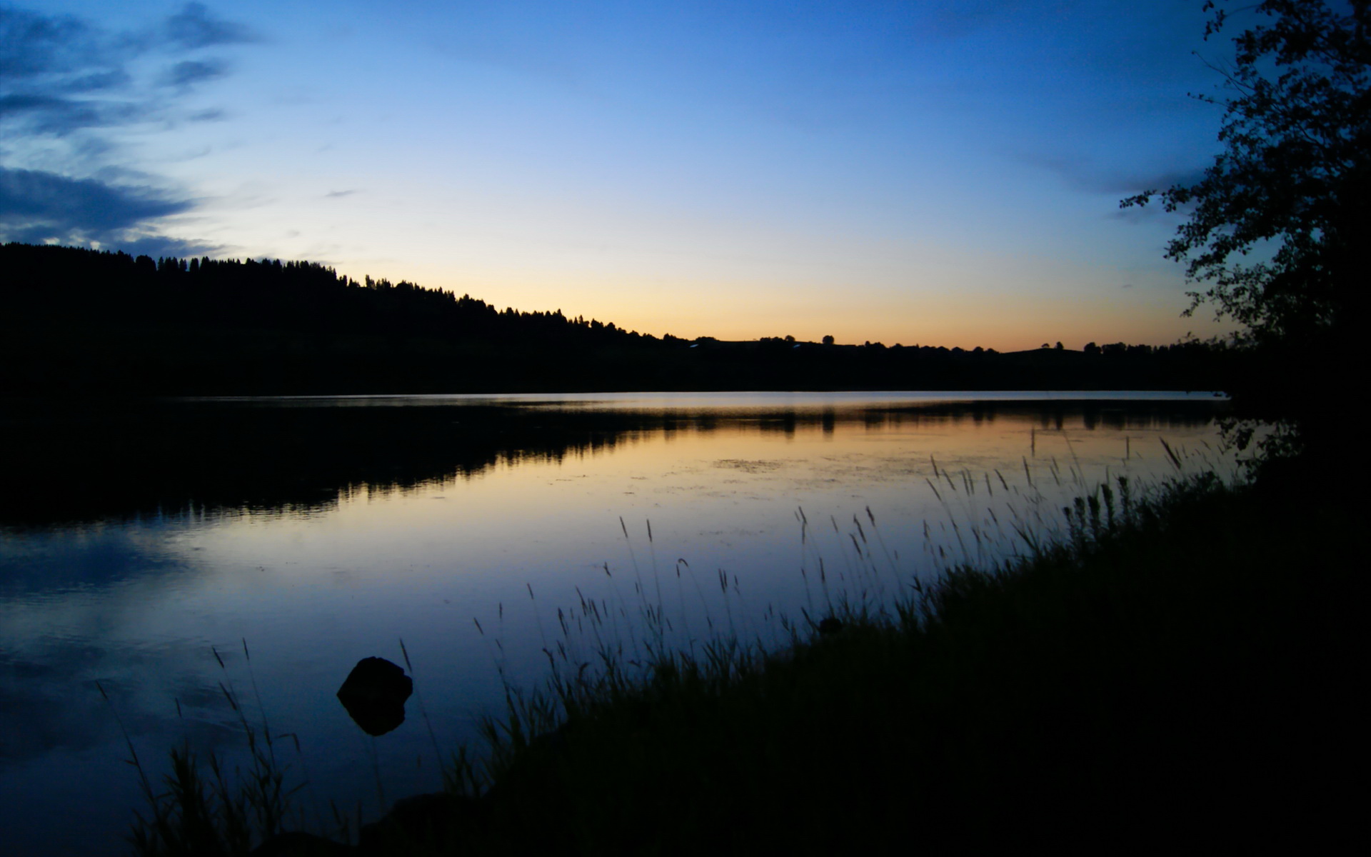 九游娱乐-快船三名主力参加公益跑步活动,快船队全员