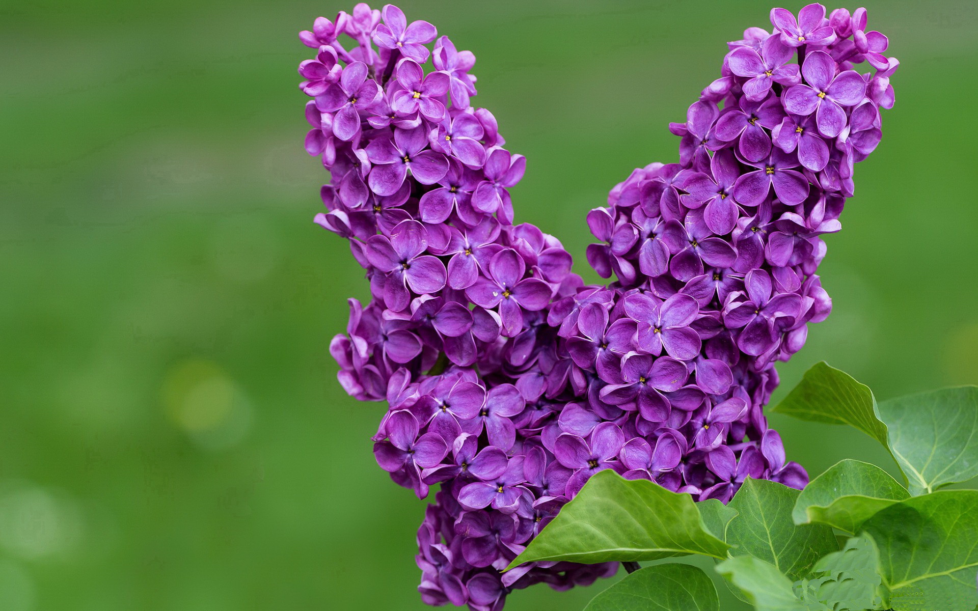 九游电脑版-跨界合作打造足球主题的数字文创作品,实现多场景应用,足球文化创意秀