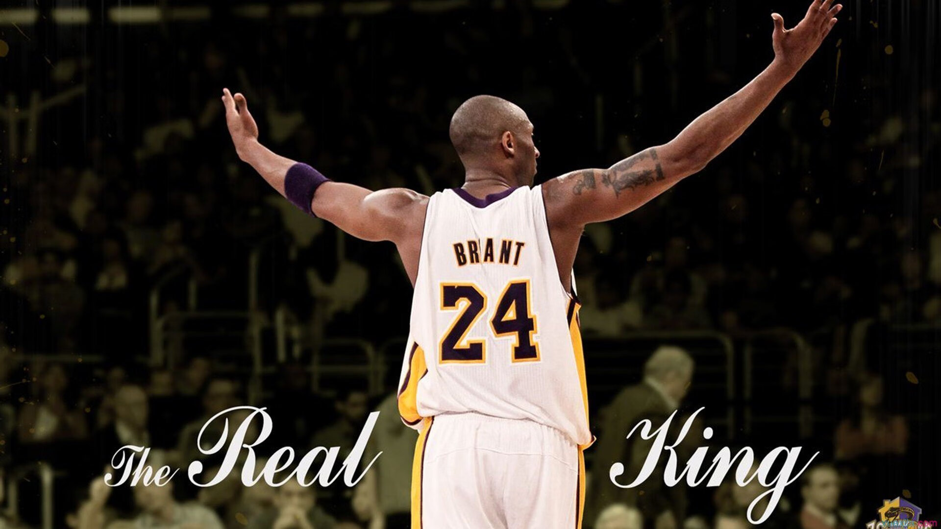 绝地求生 世界级赛事精彩纷呈，绝地求生世界级比赛